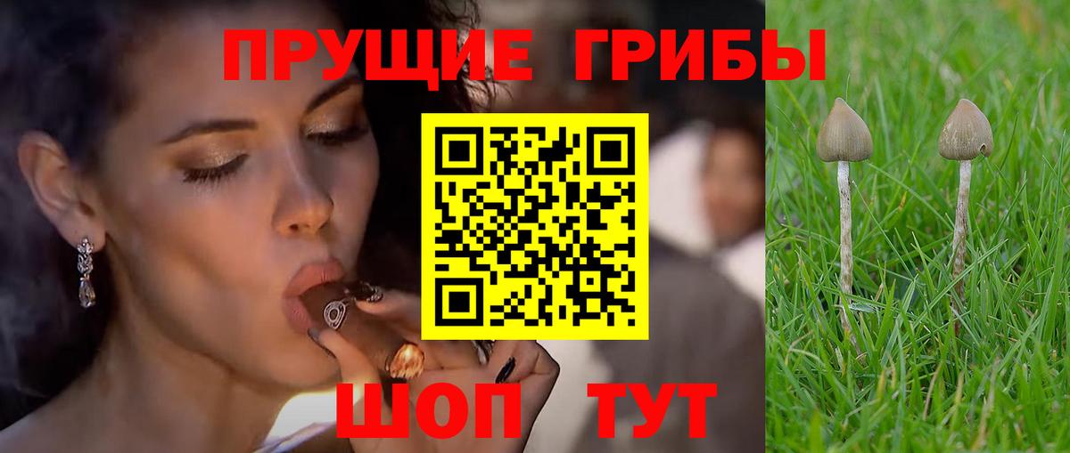 Галлюциногенные грибы Cubensis Архангельск